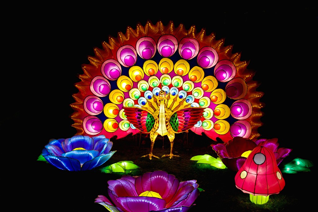 china light licht festival lichtshow show festiviteit glow evenement event chinees chinese verlichting draak dragon lichtfestival zoo